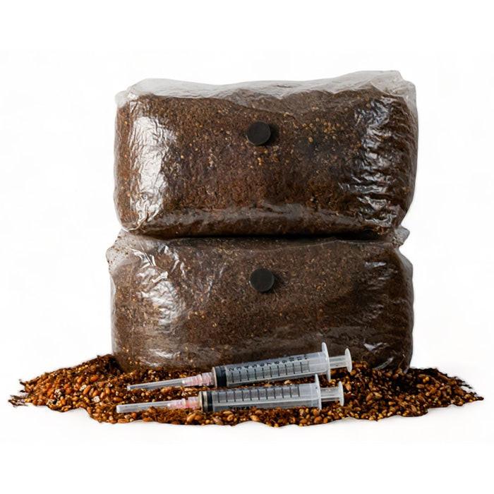 R&R Cultivation Organic DIY Mushroom Grow Kit, Lion's Mane, 5 lb.