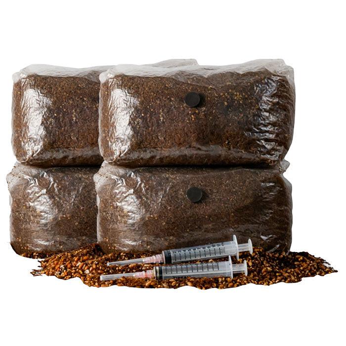R&R Cultivation Organic DIY Mushroom Grow Kit, Blue Oyster, 5 lb - 2 Pack