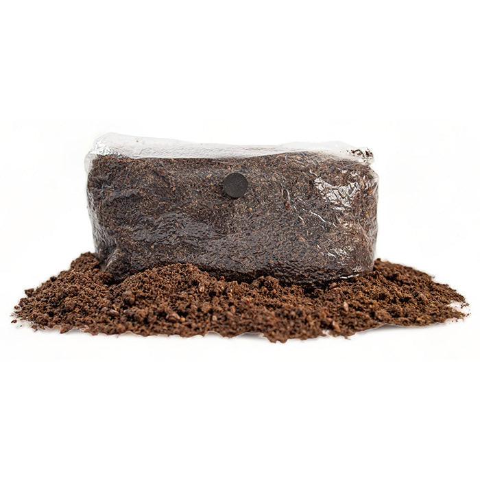 R&R Cultivation Organic Gourmet Mushroom Grow Bag
