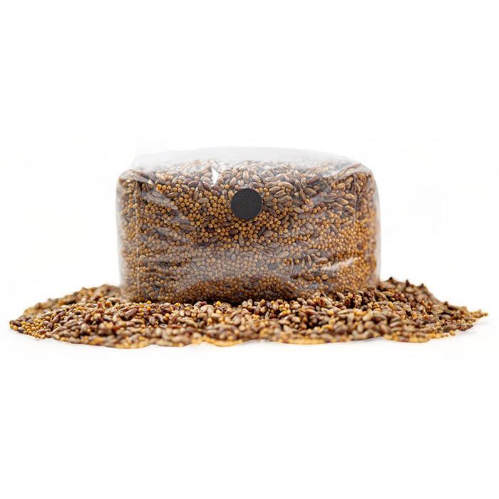 R&R Cultivation Organic Sterilized Grain, 6 lb