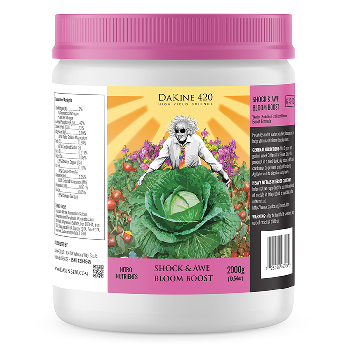 DaKine 420 Shock and Awe, 2,000 g