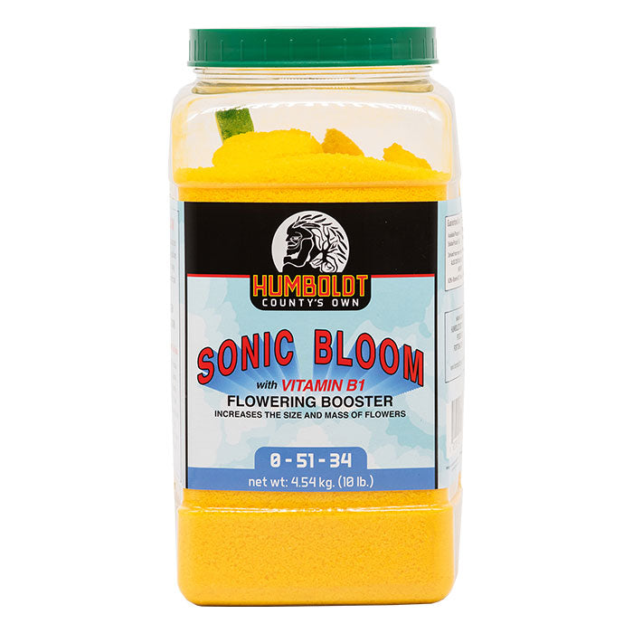 Humboldt County's Own Sonic Bloom