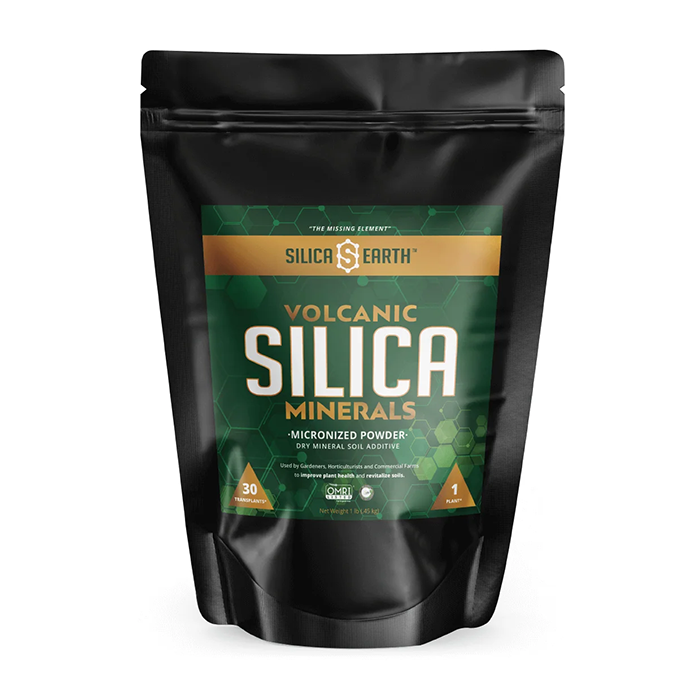 Silica Earth Volcanic Micronized Powder Silica Minerals, 1 lb
