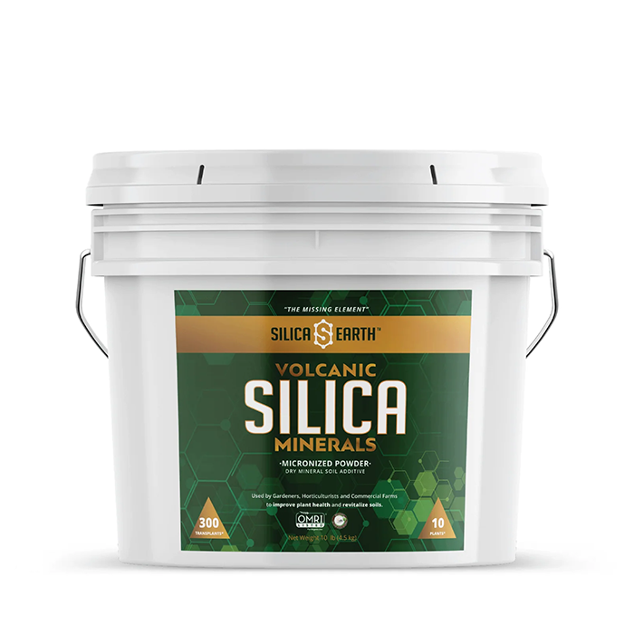 Silica Earth Volcanic Micronized Powder Silica Minerals, 10 lb