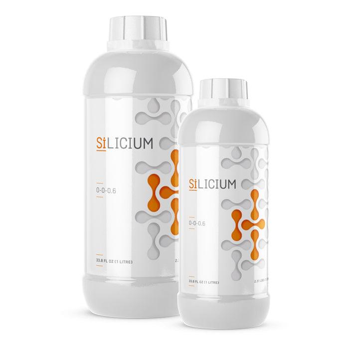 Silicium Mono Silicic Acid