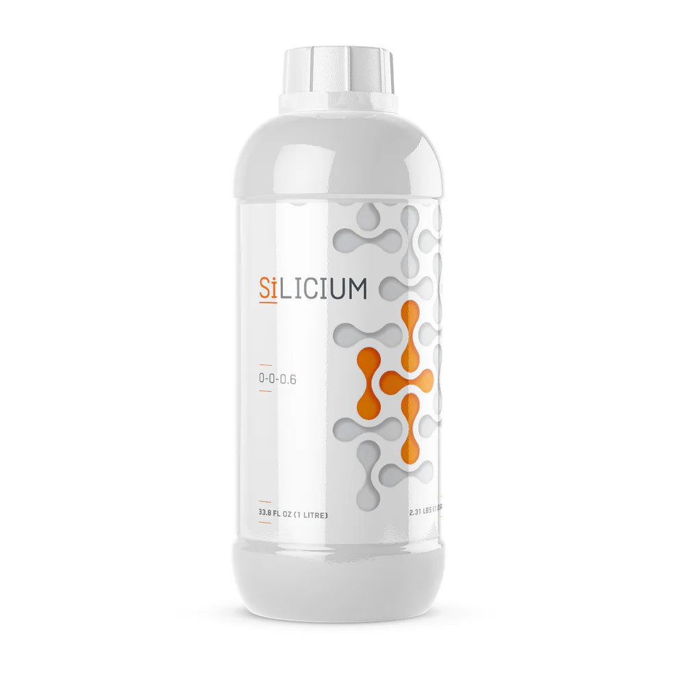 Silicium Mono Silicic Acid