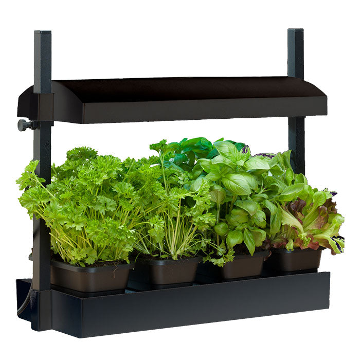 SunBlaster Grow Light Gardens