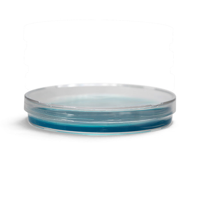 Silly Myco Pre-Poured Agar Plates, Case of 50