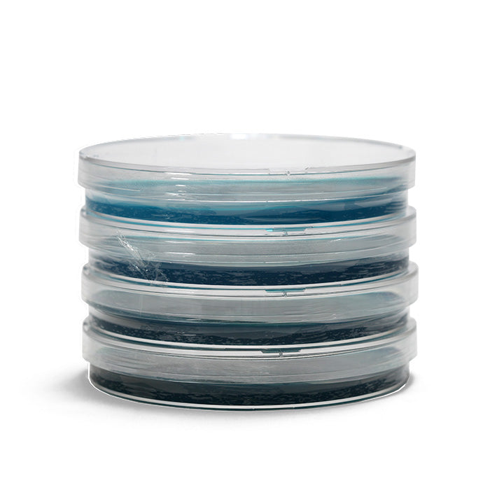 Silly Myco Pre-Poured Agar Plates, Case of 50