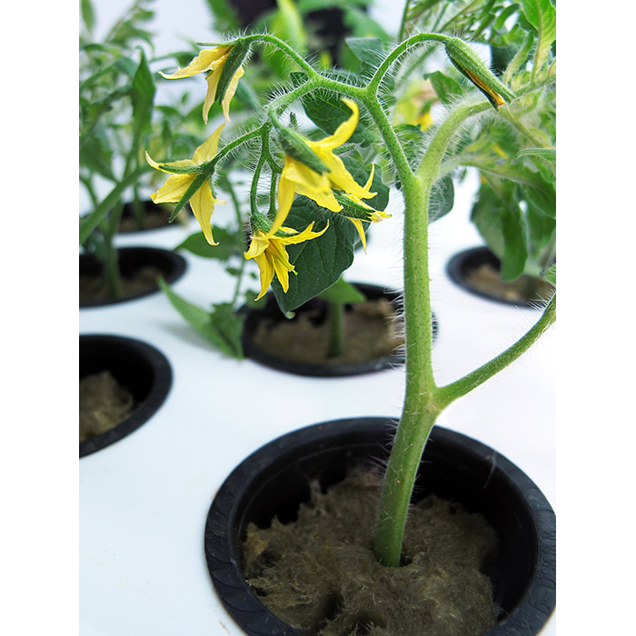 SuperCloset SuperCloner 14 Site Cloning Machine