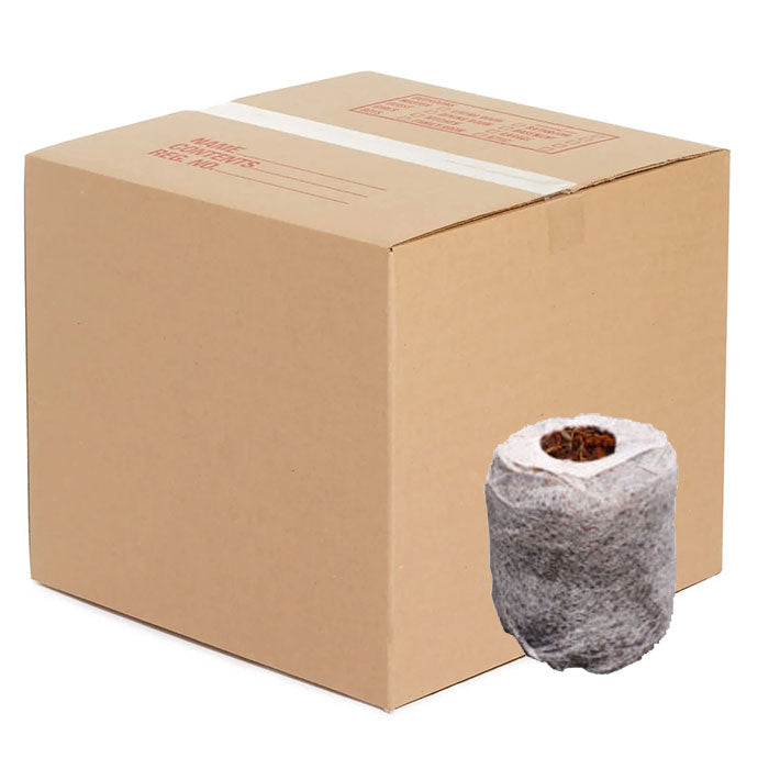 The Coco Depot Coco GroPlug, 30MM - Case of 1800