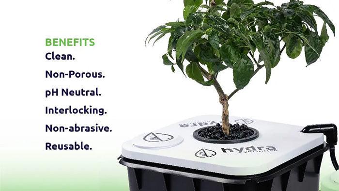Hydra Unlimited TetraBase