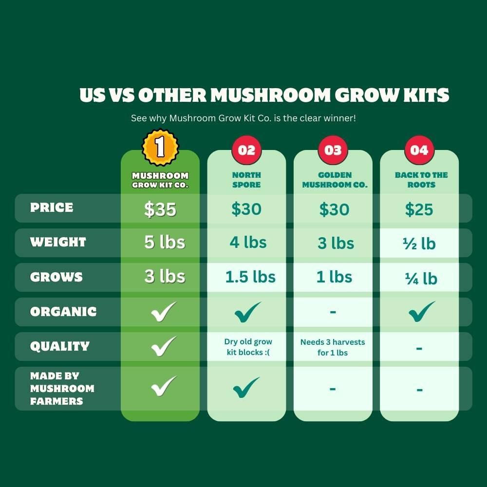 Pink Oyster Mushroom Growing Kit - 5 LBS Spray and Grow.