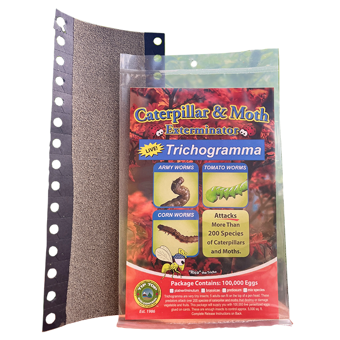 Tip Top Bio-Control Trichogramma Brassicae For Caterpillar & Moth Control, Hanging Card of 100,000
