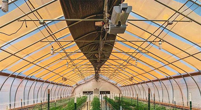 BioTherm Solutions UbiGro QD Greenhouse Film, 10 Ft. Length, 40 Sq. Ft.