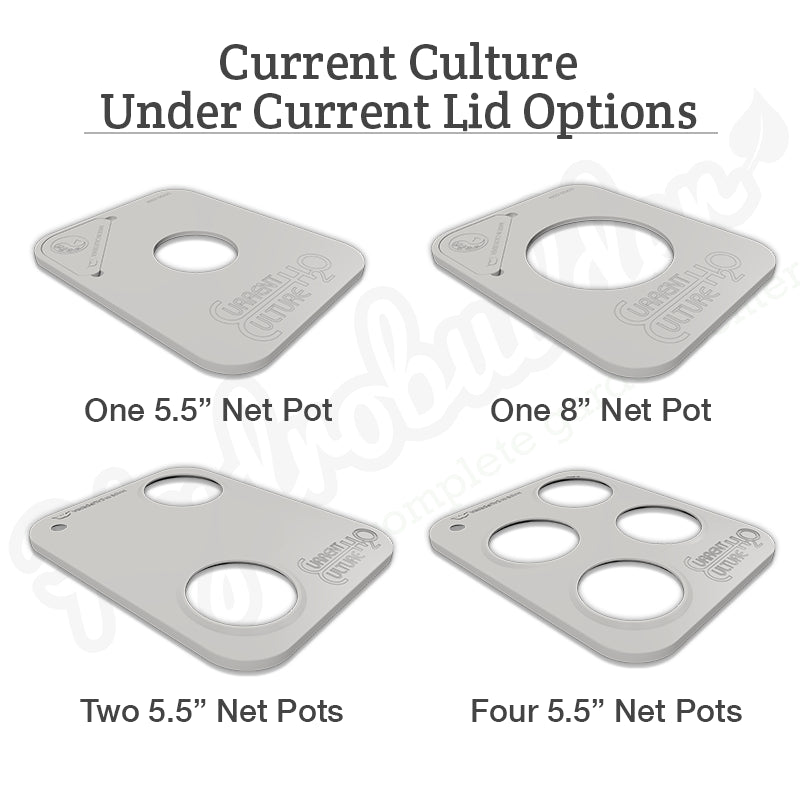 Current Culture 1-Site Multi-Mod Expansion Kit for Under Current with One-Site Lid (1 x 8" Net Pot)