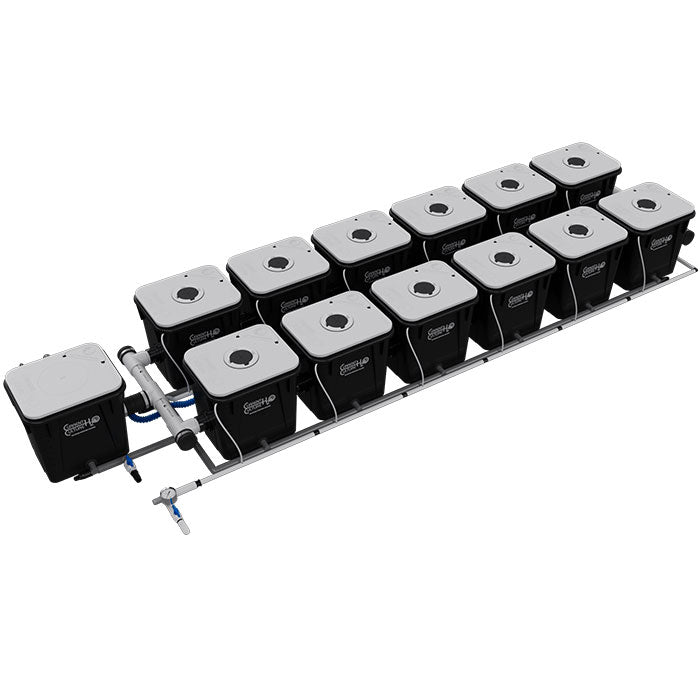 Current Culture Under Current UC RDWC System, 12-Site, 2-Row