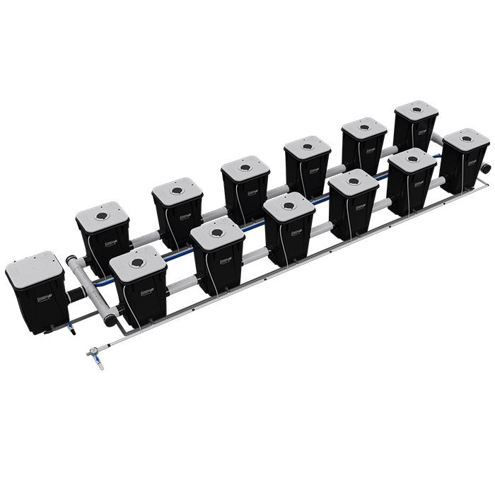 Current Culture Under Current UCXL13 RDWC System, 12-Site, 2-Row