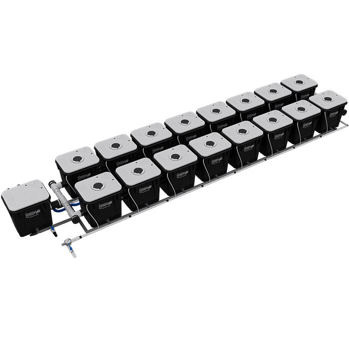 Current Culture Under Current UC RDWC System, 16-Site, 2-Row