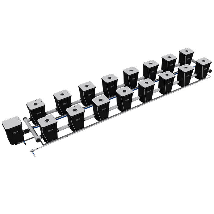 Current Culture Under Current UCXL13 RDWC System, 16-Site, 2-Row