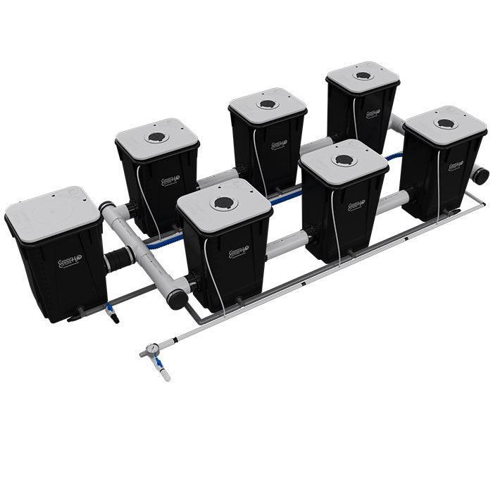 Current Culture Under Current UCXL13 RDWC System