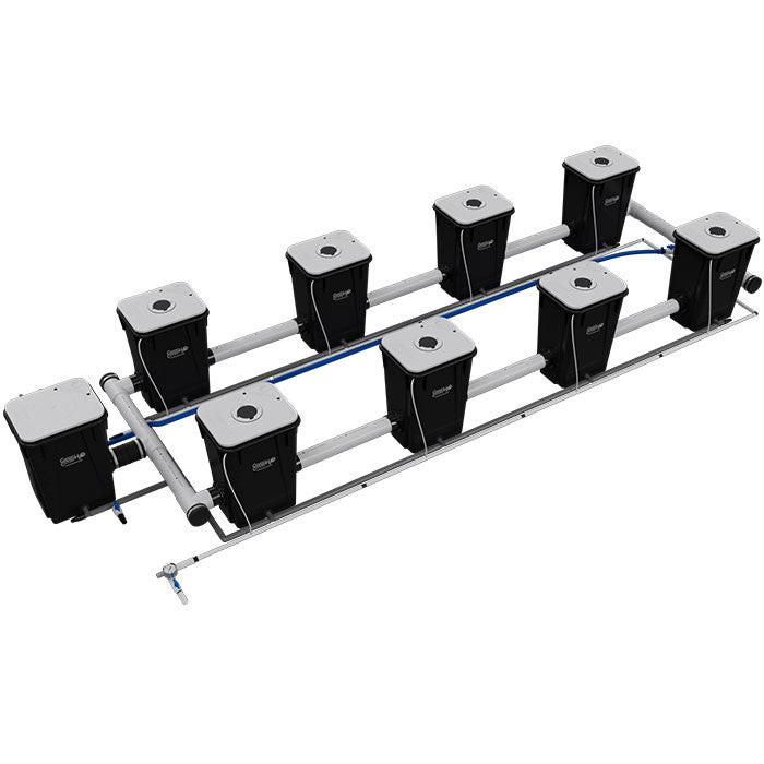 Current Culture Under Current UCXXL13 RDWC System