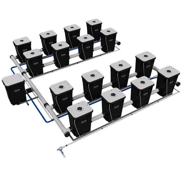 Current Culture Under Current UCXL13 RDWC System