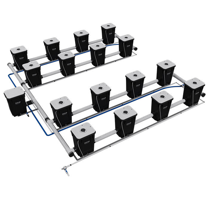 Current Culture Under Current UCXXL13 RDWC System, 16-Site, 4-Row