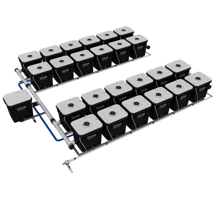 Current Culture Under Current UC RDWC System, 24-Site, 4-Row