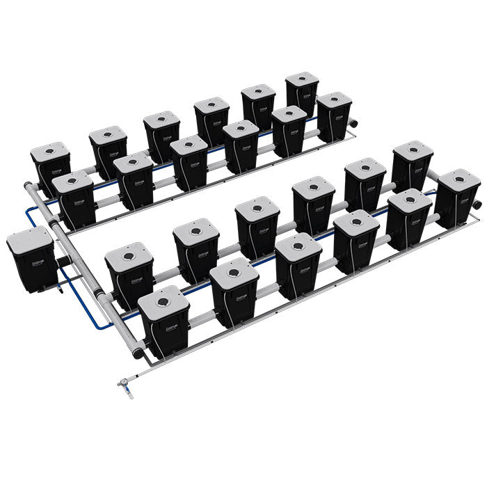 Current Culture Under Current UCXL13 RDWC System, 24-Site, 4-Row