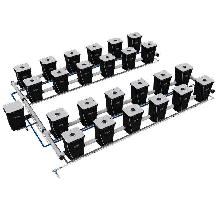 Current Culture Under Current UCXL13 RDWC System