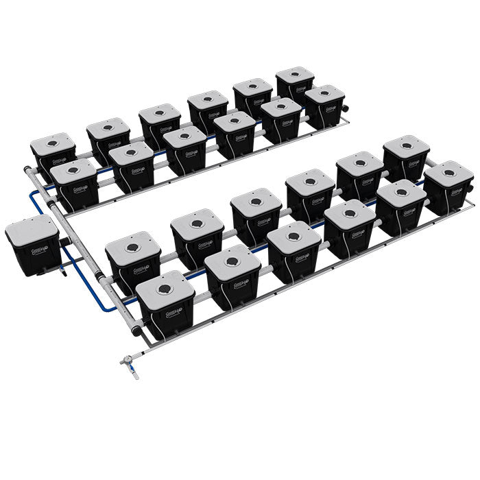 Current Culture Under Current UCXL RDWC System, 24-Site, 4-Row