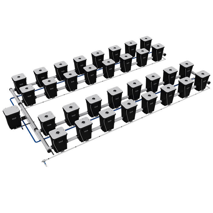 Current Culture Under Current UCXL13 RDWC System, 32-Site, 4-Row
