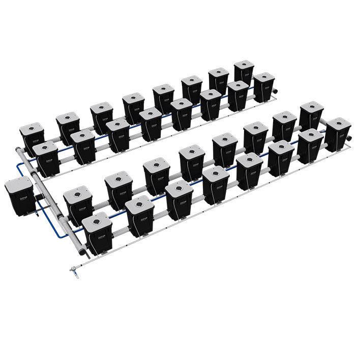 Current Culture Under Current UCXL13 RDWC System