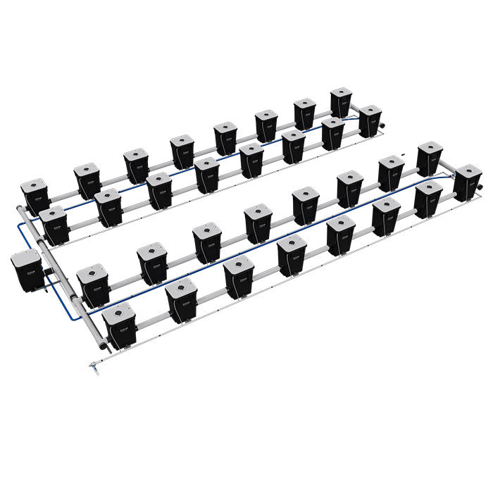 Current Culture Under Current UCXXL13 RDWC System, 32-Site, 4-Row