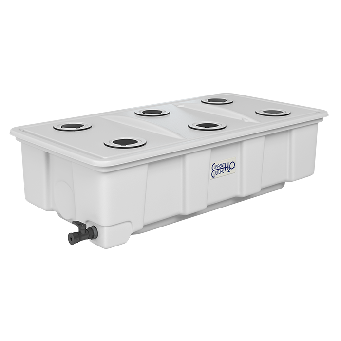 Current Culture Under Current Solo COMM 35 Gallon (6 Site x 5.5" Net Pot Lid)