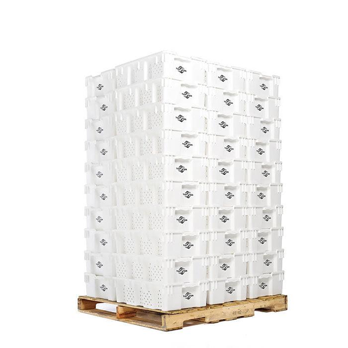Twister Stackable Freezing / Handling Trays - Pack of 10