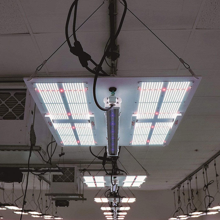 Horticulture Lighting Group 30 UVA Supplement LED Grow Light Bar