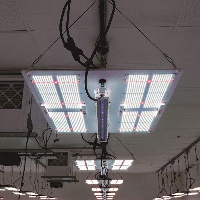 Horticulture Lighting Group 30 UVA Supplement LED Grow Light Bar, 240 Volt