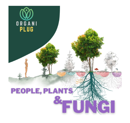 OrganiPlug Seed & Cutting Plugs - Pre-Filled Tray w/ 50 Plugs - Single, Case, and Pallet.