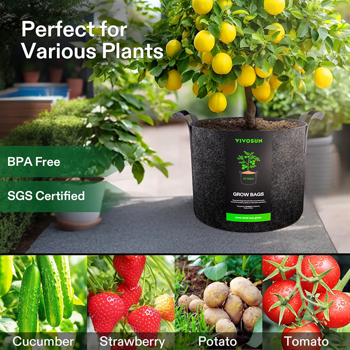 Vivosun Thick Nonwoven Fabric Pot with Handles, 50 Gallon