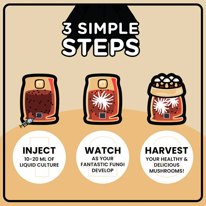 Mushroom Supplies Wood-Loving All In One Mushroom Grow Kit In-A-Bag, 3 lbs