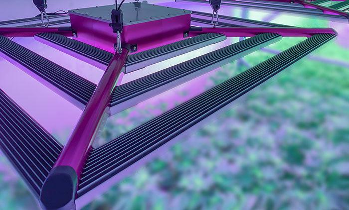 KIND X² Professional 750 Watt LED Grow Light, 240 Volt