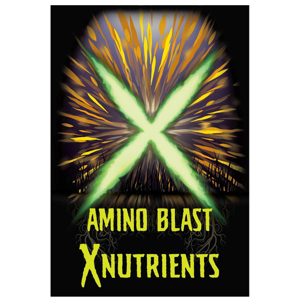 X Nutrients Amino Blast, 1 Quart