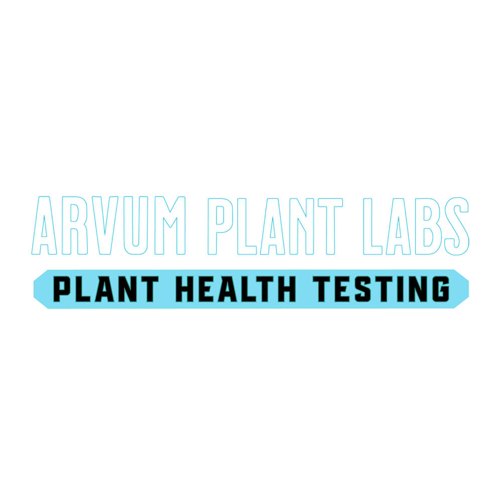 Arvum