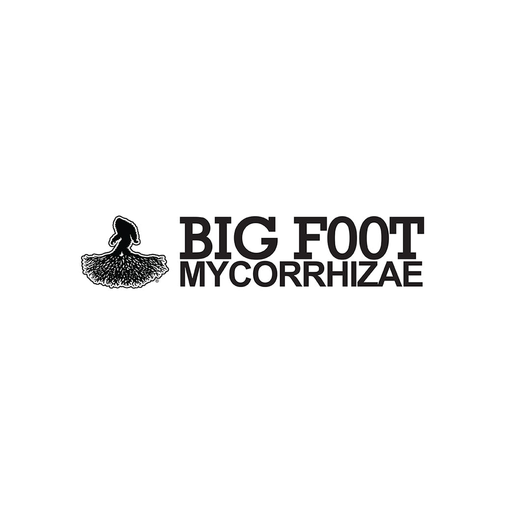 Big Foot Mycorrhizae