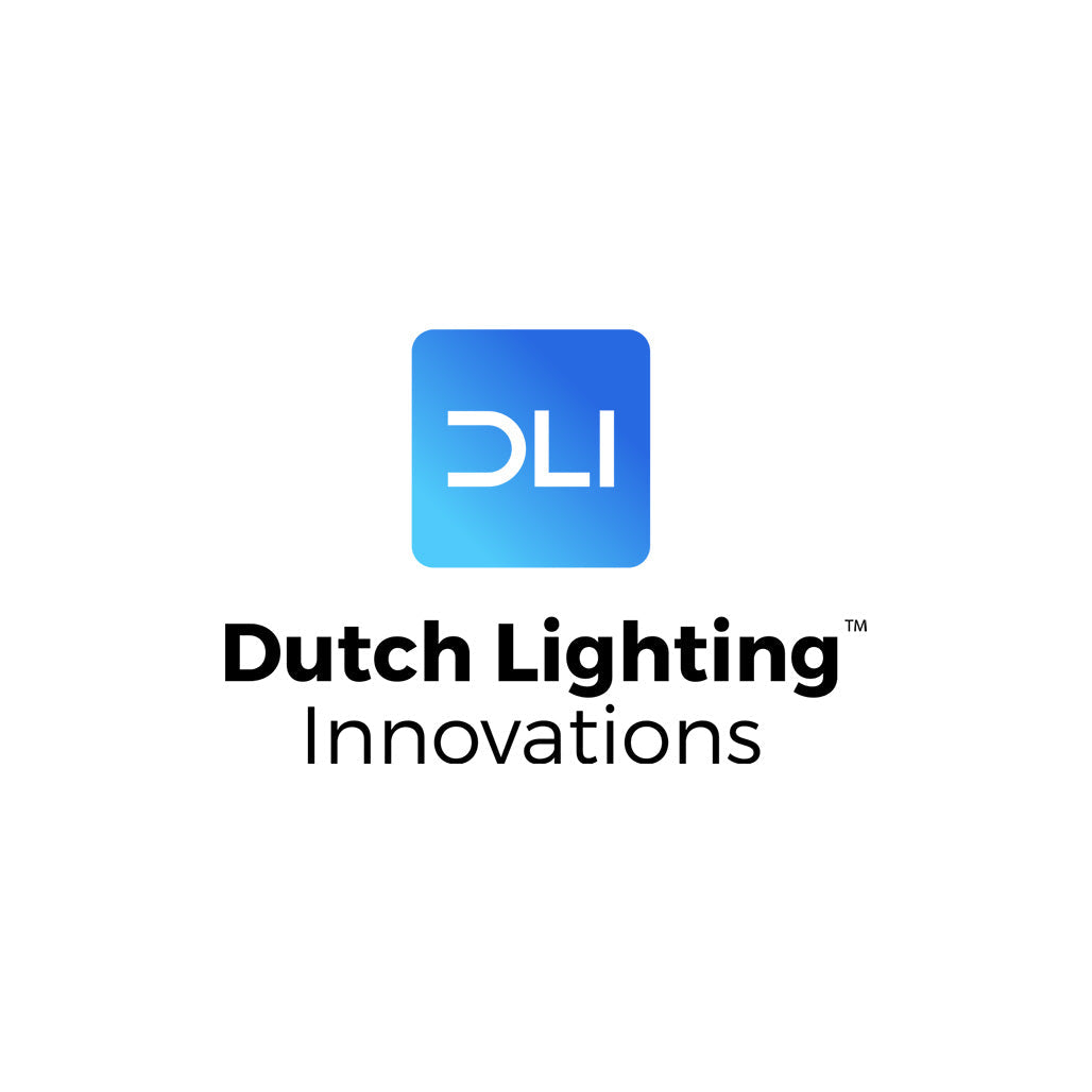 Dutch Lighting Innovations