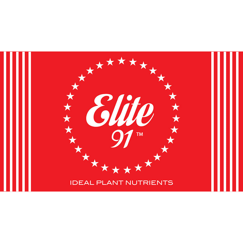 Elite 91