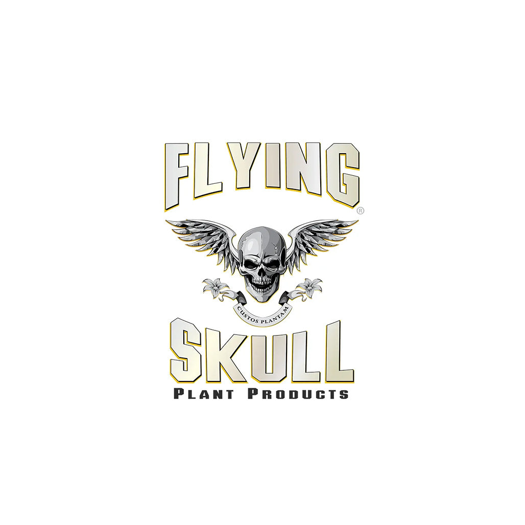 Flying Skull