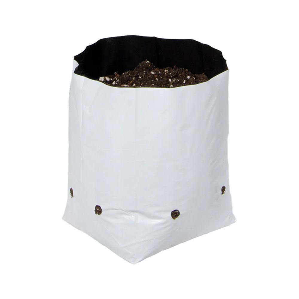 Plastic Grow Bags